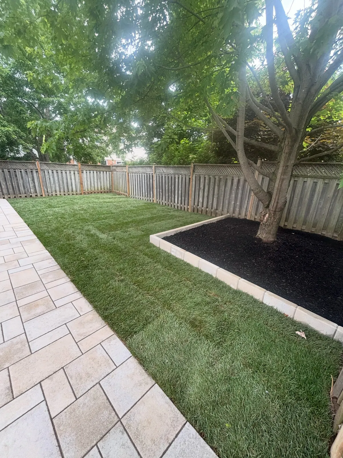 Sod Installation project by Top Down Landscaping in Toronto